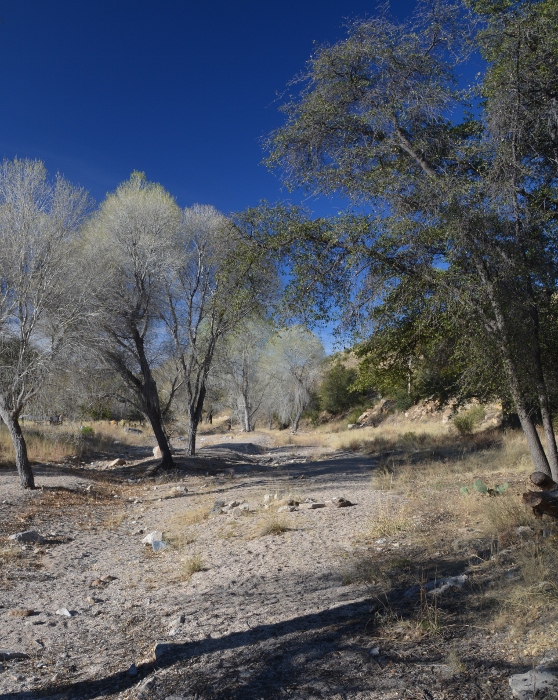 At the Gordon Hirabayashi Recreation Site